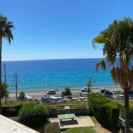 La Palme D'azur - Petersen App 610