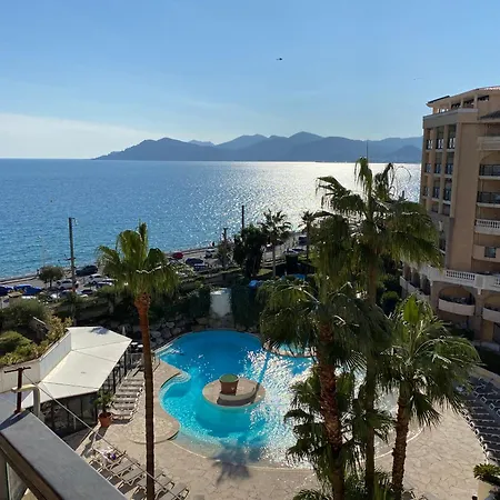 La Palme D'azur - Petersen App 610